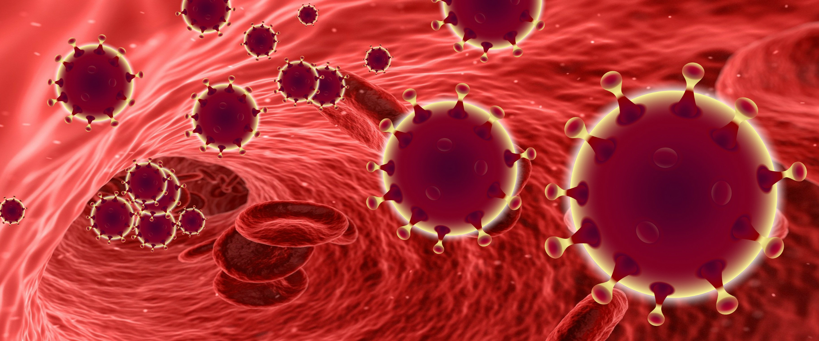 coronavirus.jpg