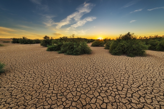 Working Together to Reveal Environment Evolution in Central Asia