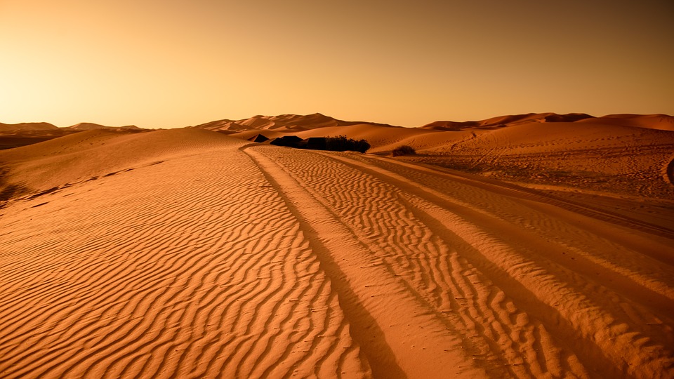 China and Mongolia Collaborate to Combat Sand and Dust Storm