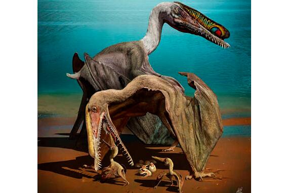 Exceptionally Preserved Eggs and Embryos Reveal the Life History of a Pterosaur