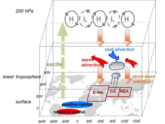 Summer Eurasian Nonuniform Warming Found Related to Atlantic Multidecadal Oscillation