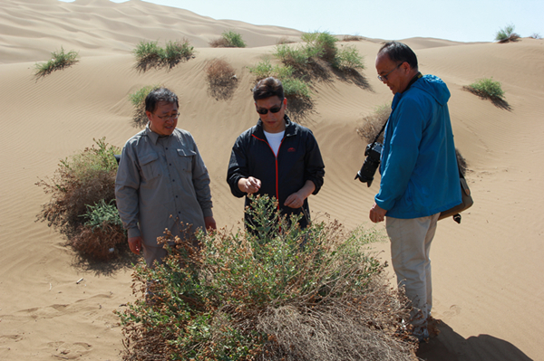 What Can China Share About Its Experience in Desertification Control?