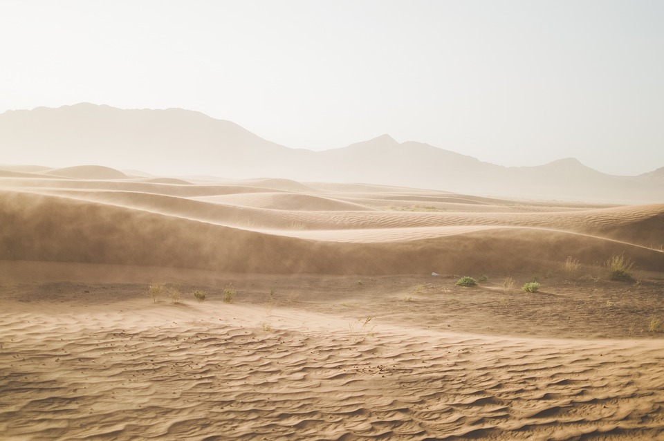 International Training Course Helps to Combat Desertification in Developing Countries