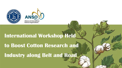 International Workshop Held to Boost Cotton Research and Industry along Belt and Road