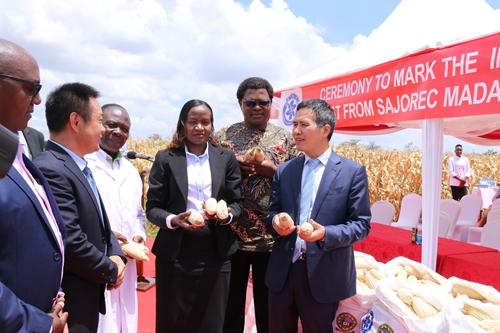 Chinese, Kenyan Scientists Unveil Inaugural Harvest of High-yielding Maize Variety