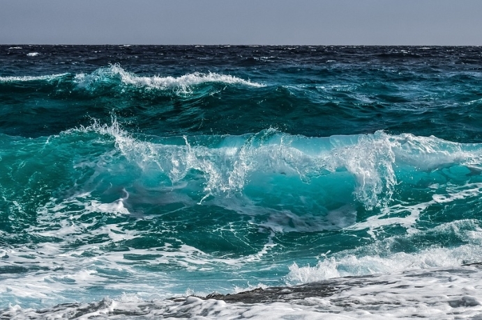 The 7th China-Sri Lanka Joint Workshop on Tropical Marine Sciences Was Held