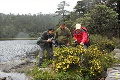 Kunming Institute of Botany and Institute of Gene Pool of Plants and Animals to Renew Cooperation