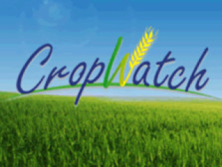 China's Agricultural Remote Sensing Monitoring Provides Global Service