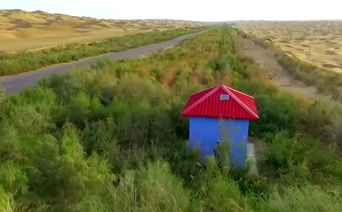 Chinese Solution to Desertification in BRI Countries Highlighted at Forum in China's Xinjiang