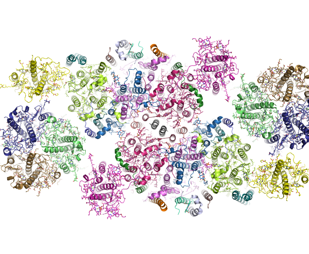 Chinese Scientists Resolve Supramolecular Structure in Photosynthesis