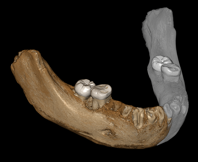 Tibetan Plateau First Occupied by Middle Pleistocene Denisovans