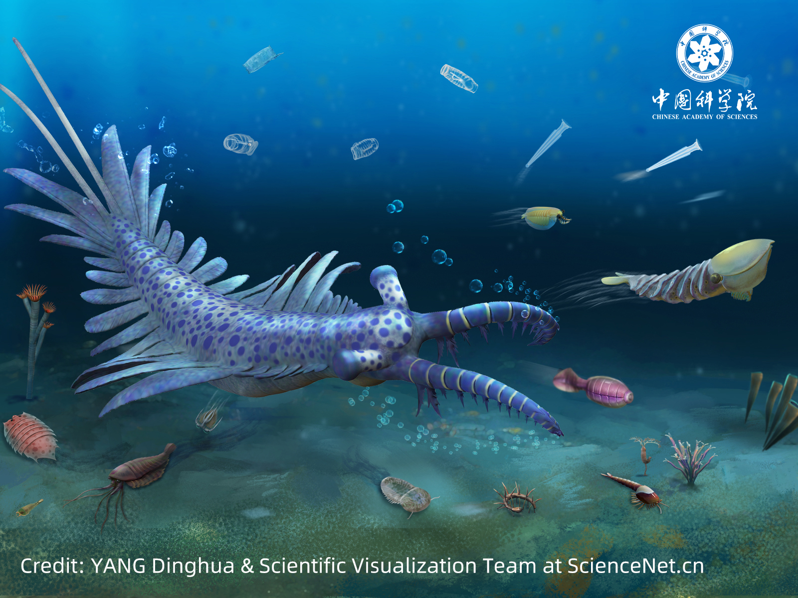 512-Million-Year Fossils: Life After Extinction