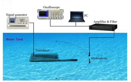 dolphinsonar1.jpg