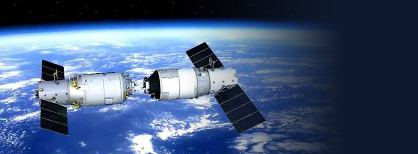 Can We Grow Human Organs in Space?