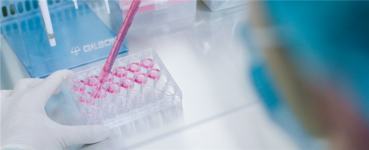 Chinese Scientists Find New Method to Induce Stem Cells