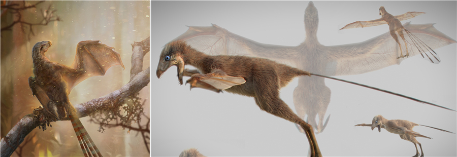 Chinese Scientists Discover Bizarre Winged Dinosaur