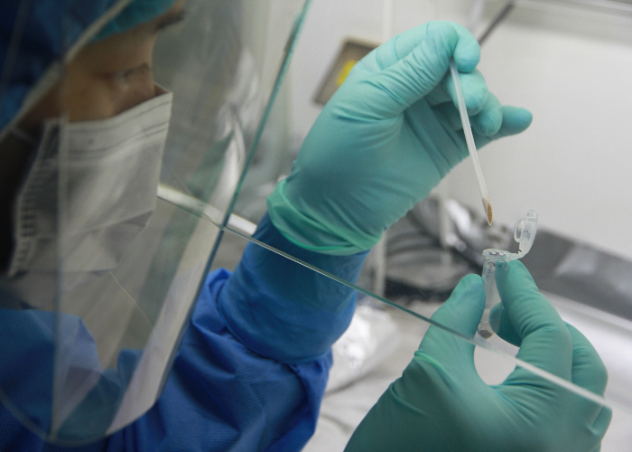 Denisovan DNA Found in Sediments of Baishiya Karst Cave on Tibetan Plateau