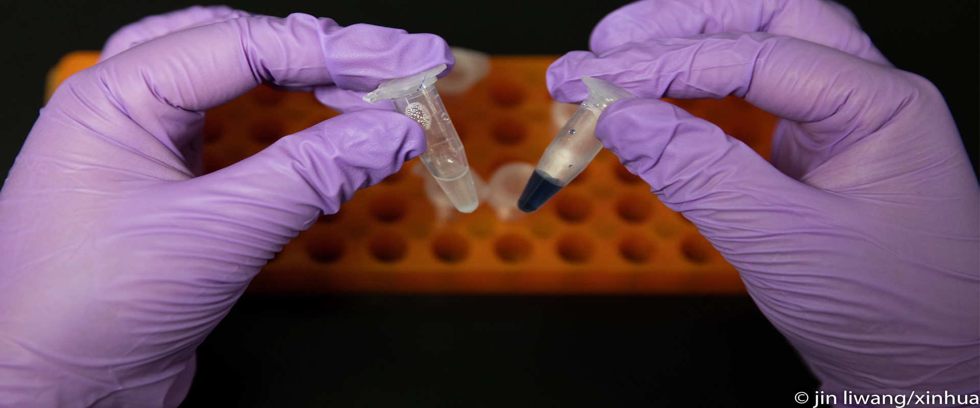 Chinese Scientists Report Starch Synthesis from CO<sub>2</sub>