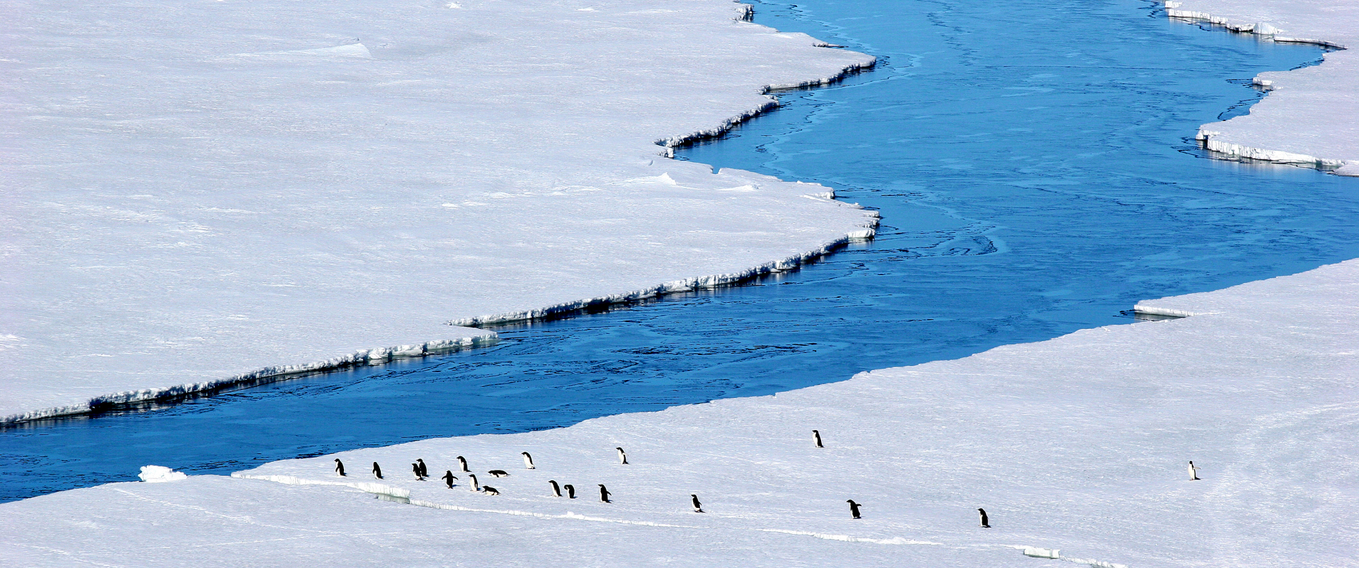 Accumulated Heat in the Upper Ocean Is at Record Levels, Again!
