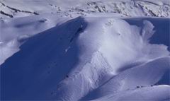 CAS Scientists to Take Part in Antarctic Expedition