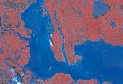 Satellite images of the Dongting lake in China during the 1998 summer flood.