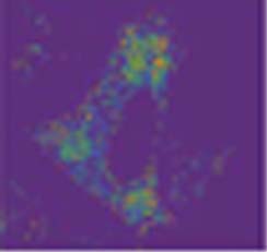 A new mechanism to curb over-reactive immune responses