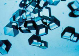 Insulin
(Source:adm999.com)