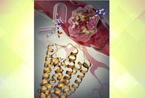 Sino-US Team Unveils Molecular Structures Key to Blood Clotting