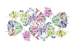 The structure of spinach PSII-LHCII supercomplex.jpg