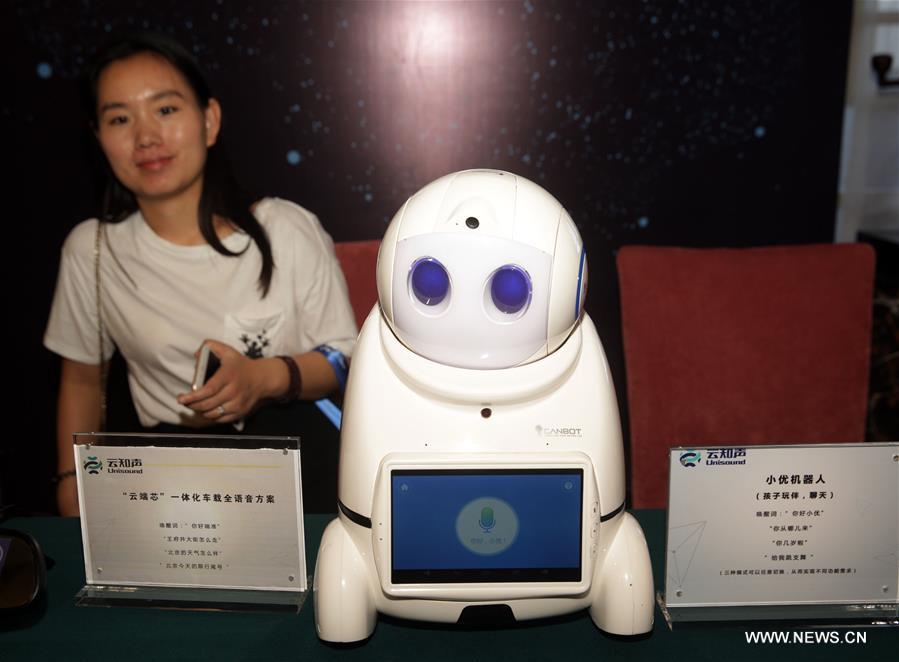 Expert Calls for Long-term Blueprint for China's AI Industry