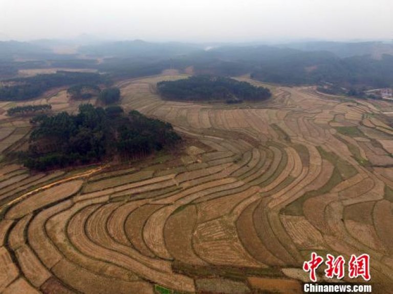 Chinese Scientists Develop Technique to Remove Metals from Acidic Soil