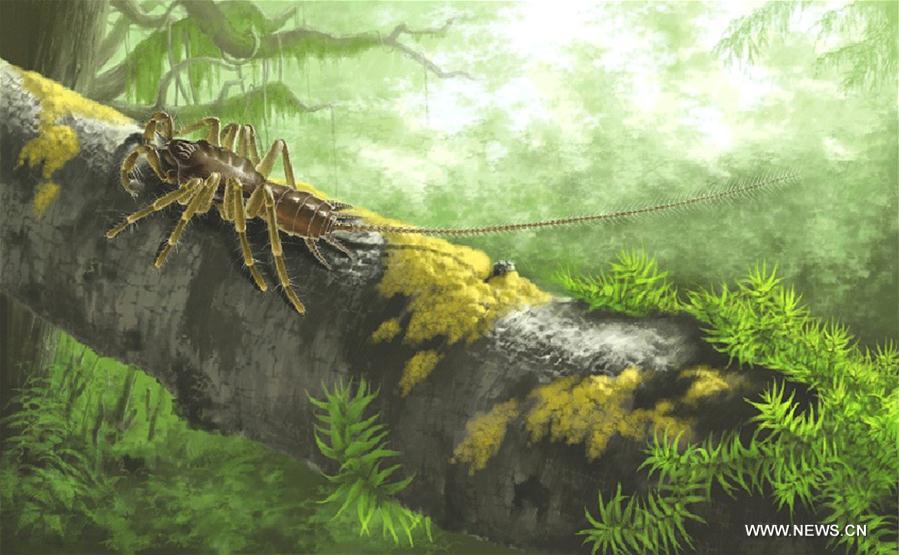 100 Million-year-old Spider with Tail Found in Amber