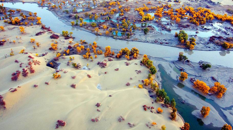 Xinjiang Sets up Research Center to Better Protect Tarim River Basin