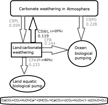The Carbon Sink by Carbonate Weathering Might Control Long-term Climate Change