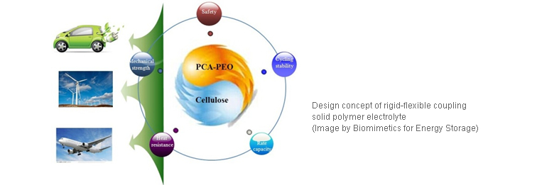 All-Solid-State Polymer Lithium Batteries Shows High Performance