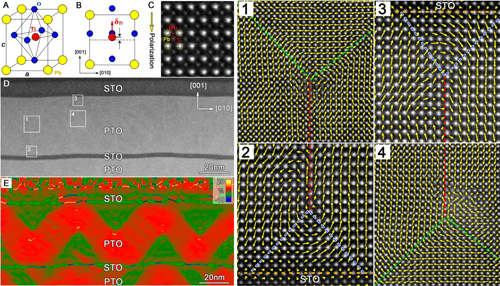 Discovery of Full Flux-closures in Ferroelectrics.jpg