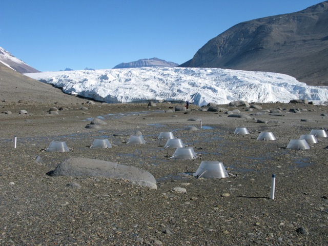 Worms Contribute to Soil Ecology After Glacier Retreat