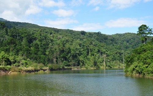 Leaf Drought Tolerance Critical in Multiple Assembly Processes in Tropical Forest Communities.jpg