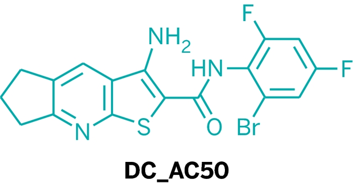 Agent Could Fight Cancer by Inhibiting Copper Transport in Diseased Cells