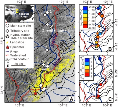 Large Earthquakes May Regulate Global Carbon Cycle: Evidence from 2008 Wenchuan Earthquake