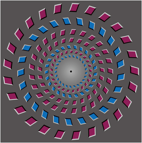 striking Pinna illusory rotation.jpg