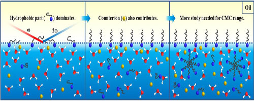 Researchers Reveal New Adsorption Process of Surfactants at Oil-Water Interface