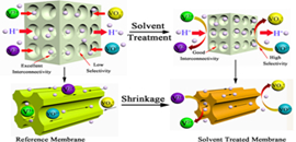 The influence of the solvent treatment on the morphology and performance of the porous PES membrane.jpg