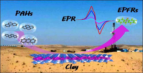 Scientists Uncover Formation Mechanism of Environmentally Persistent Free Radicals in PAHs-contaminated Soil
