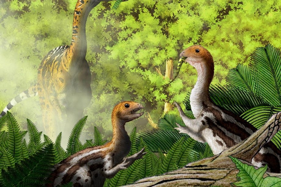Weird Dinosaur Species Had Teeth Only in Youth