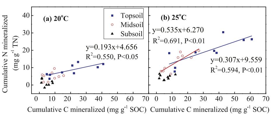 The relationship between soil carbon and nitrogen mineralization among soil depths in a subtropical mixed forest (Image by TIAN Qiuxiang).jpg