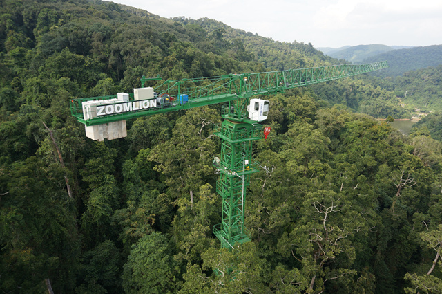 Canopy crane at 20-ha Xishuangbanna plot..jpg