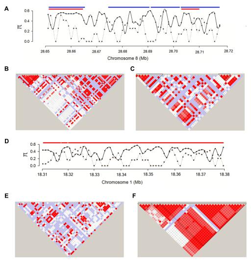 Patterns of LD blocks in two genomic regions (Image by MA Baiquan).jpg