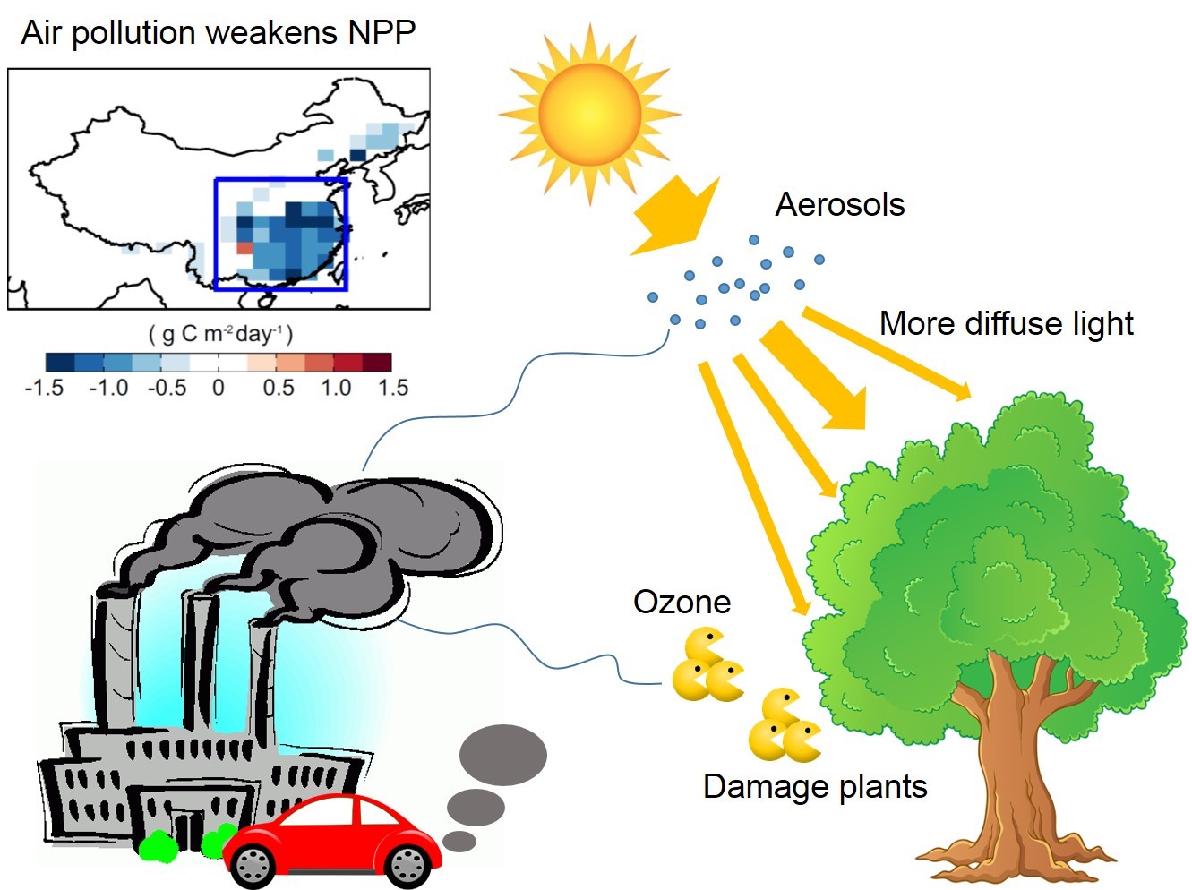 anthropogenic emissions generate aerosols and suface ozone.jpg