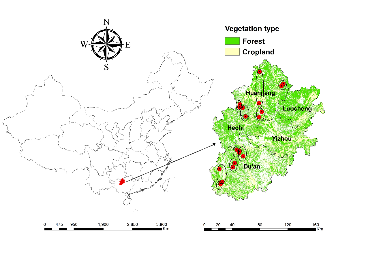 Lithology Modulates the Effect of Afforestation on Soil C or N Pool